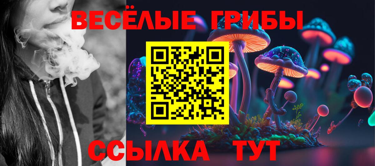 где найти наркотики  Вход с VPN  Егорьевск  Галлюциногенные грибы Psilocybine cubensis 